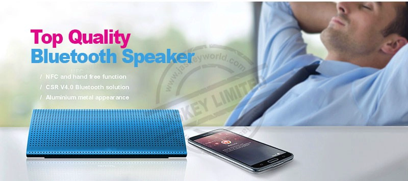 Portable Party Speakers