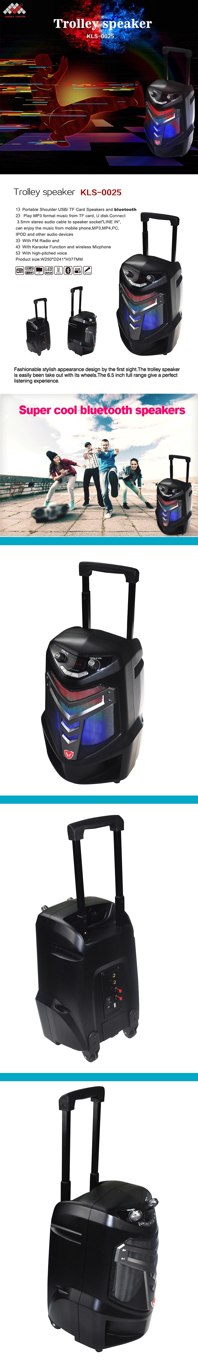 Handheld Wireless Karaoke Microphone With Portable Bluetooth 