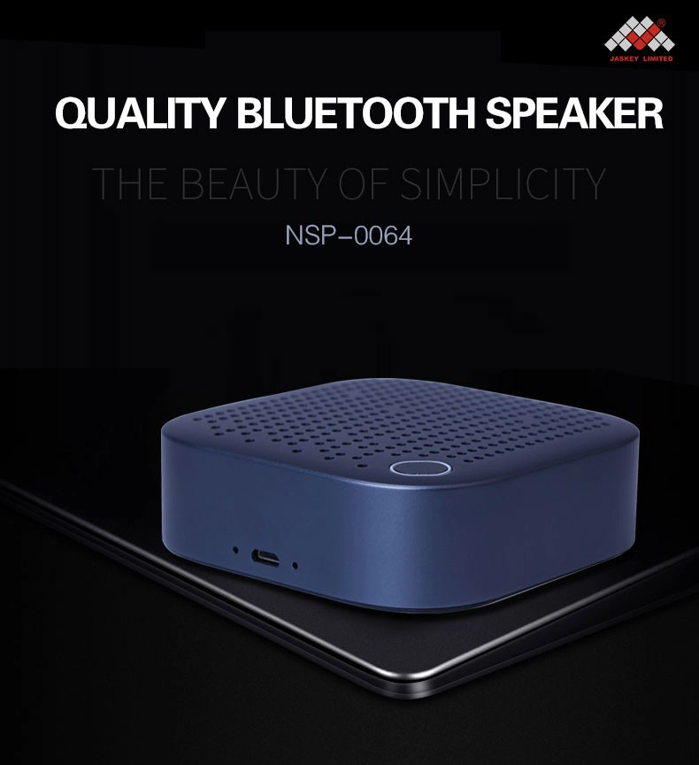 Cheap Portable Speaker