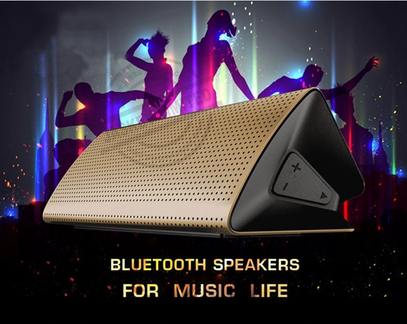 Portable Party Speakers