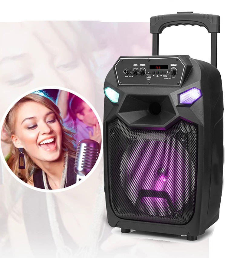 Led speaker china manufacturer
