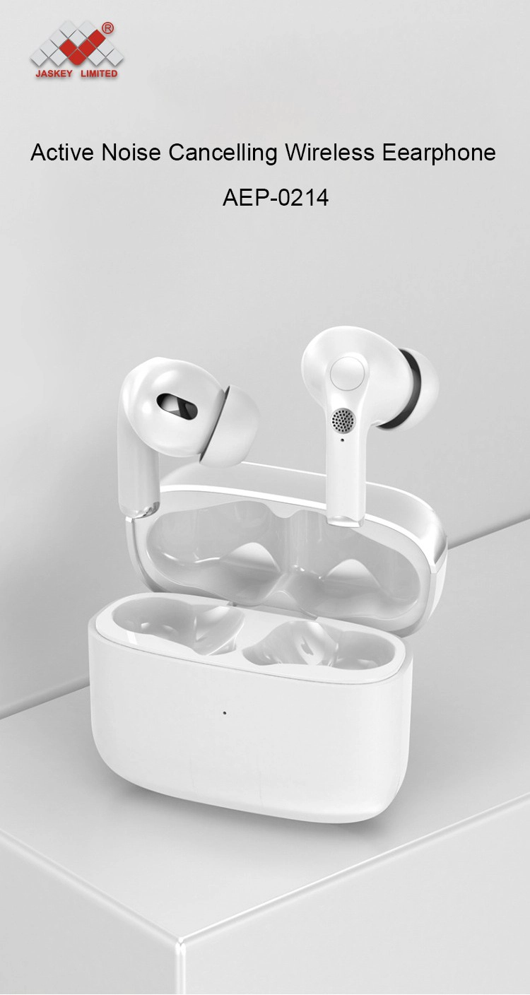 Active Noise Cancelling Wireless Earphone