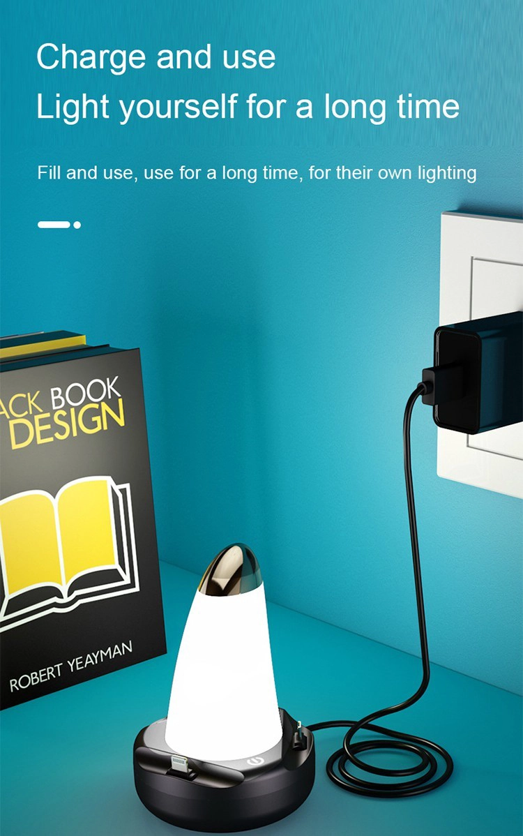 Wireless Charging Lamp