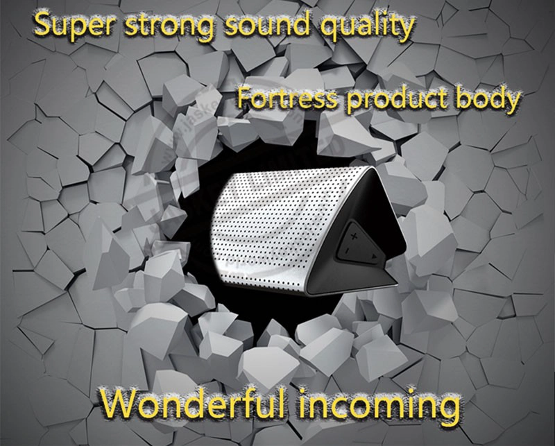 Portable Party Speakers