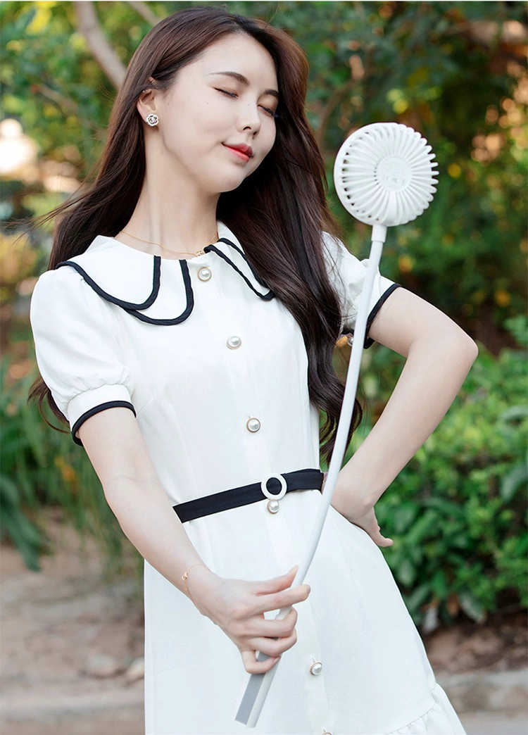Hand held fan