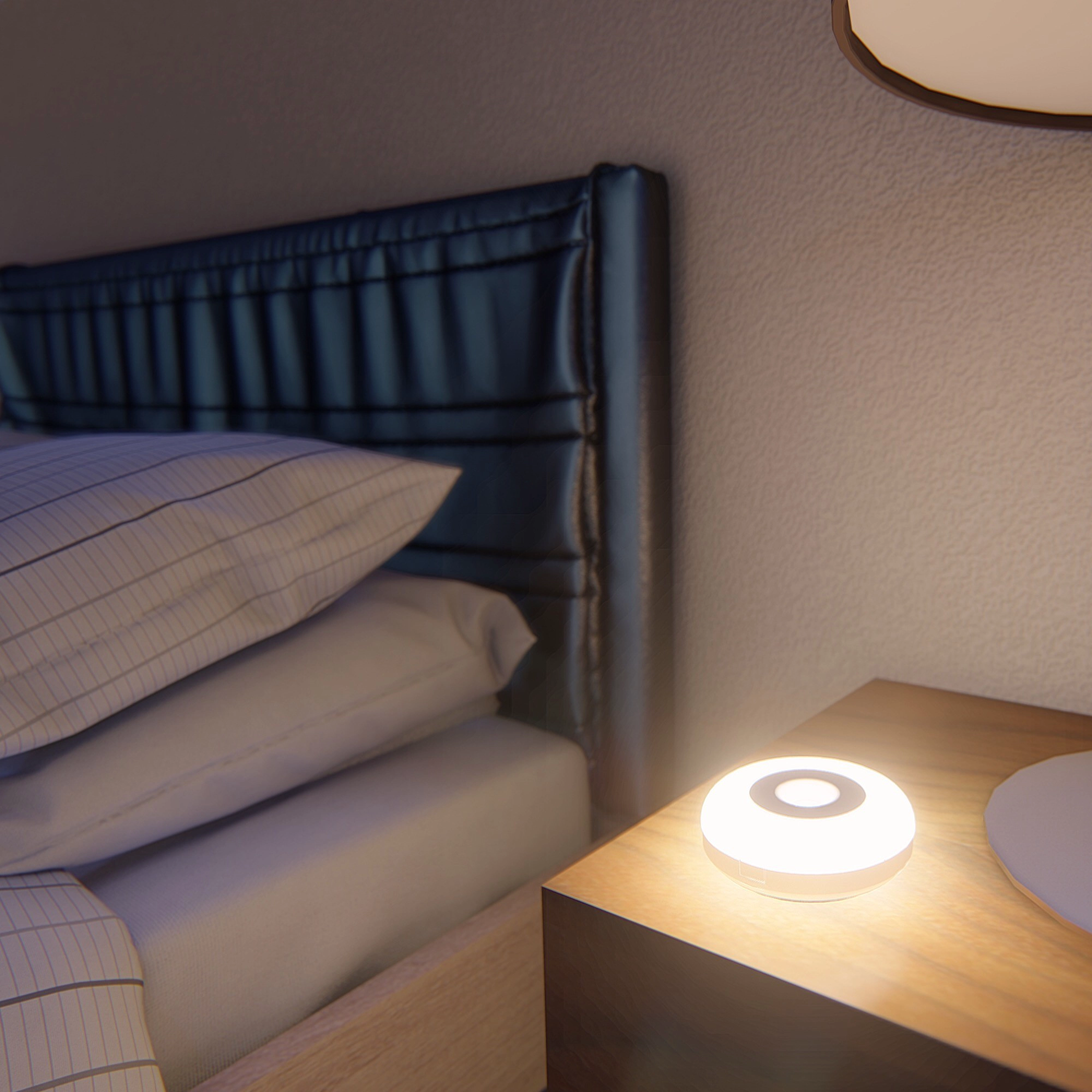 Fonction de lampe à induction Introduction