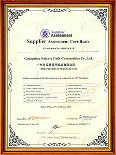certificato 03