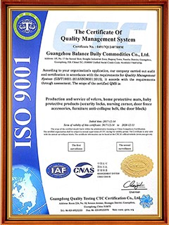 certificate04