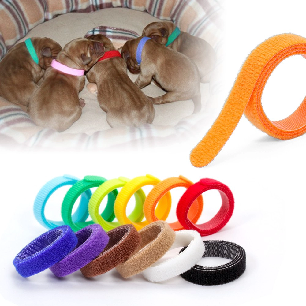 Pacote personalizado com alça de colarinho de identificação de cachorro ajustável 100% nylon e gancho