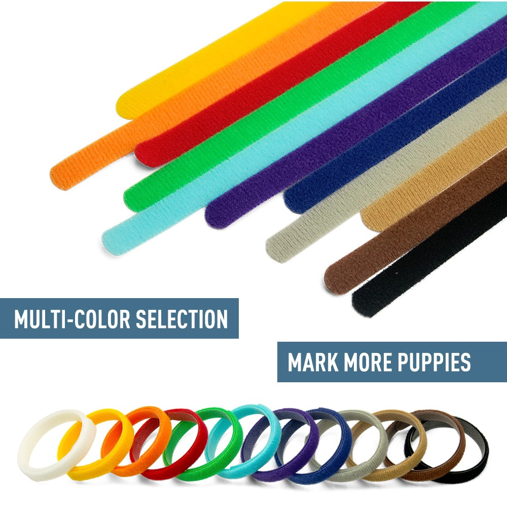 Pacote personalizado com alça de colarinho de identificação de cachorro ajustável 100% nylon e gancho