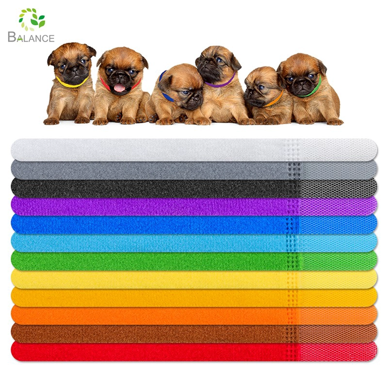 New-designed Puppy ID Collars Newborn Kitten pup Soft Collar Adjustable Identification Collar for Pet