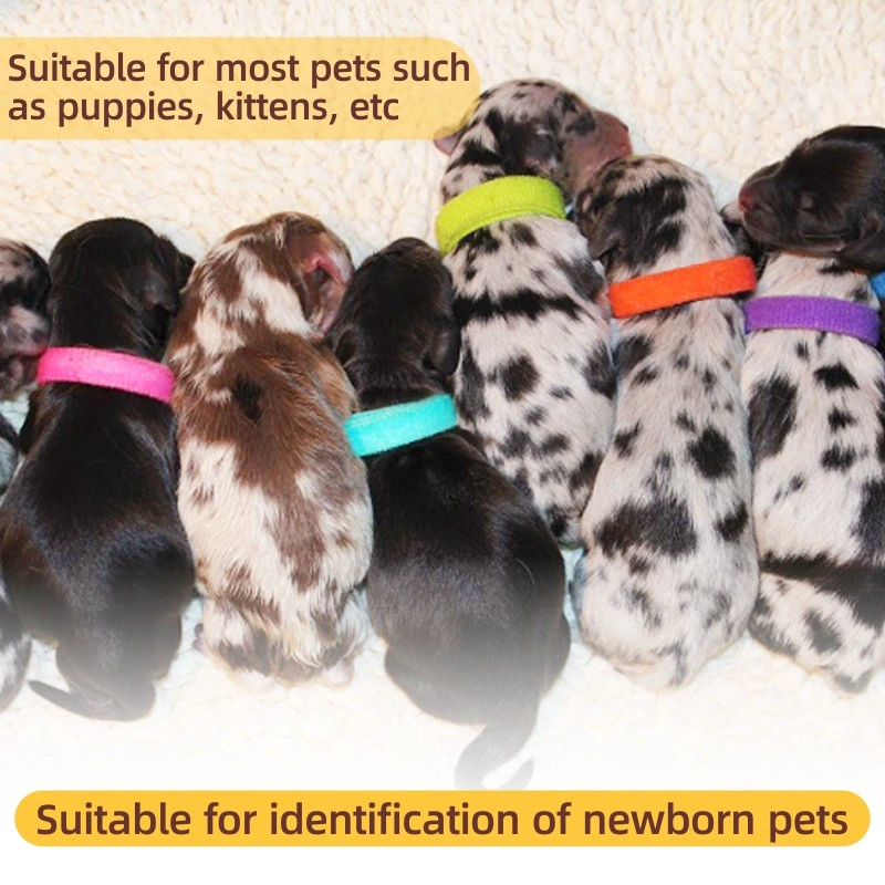 New-designed Puppy ID Collars Newborn Kitten pup Soft Collar Adjustable Identification Collar for Pet