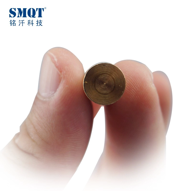 Vật liệu đồng cảm ứng vỏ từ cho cửa gỗ
