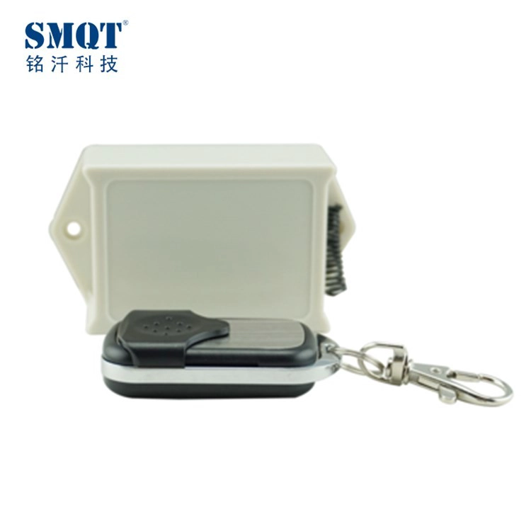 Two CH 12V/24V 433Mhz/315Mhz wireless universal remote controller