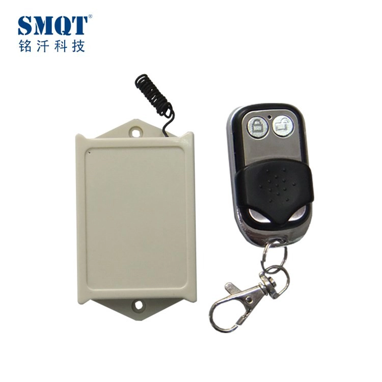 Two CH 12V/24V 433Mhz/315Mhz wireless universal remote controller