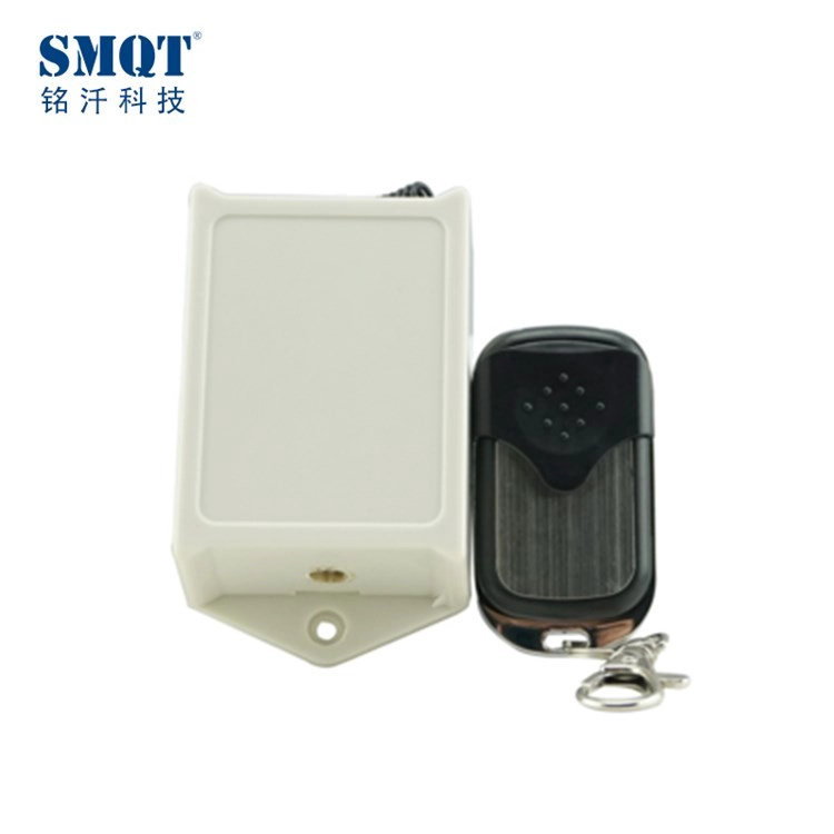 Two CH 12V/24V 433Mhz/315Mhz wireless universal remote controller