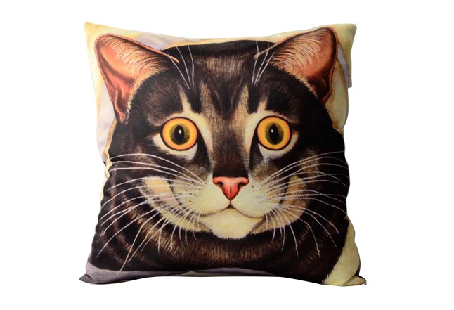 China Pillow Cover manufacturer