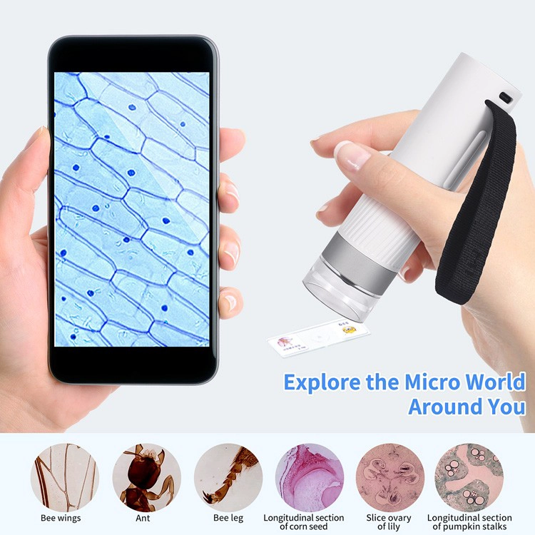 Niños STEM Aprendizaje Insecto Precontal Observación Microscopio para niños Microscopio educativo 1000x WiFi Bio Bio Microscopio