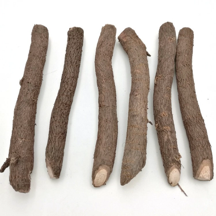 2018-2019新しい新鮮な桐の根の切断植物販売