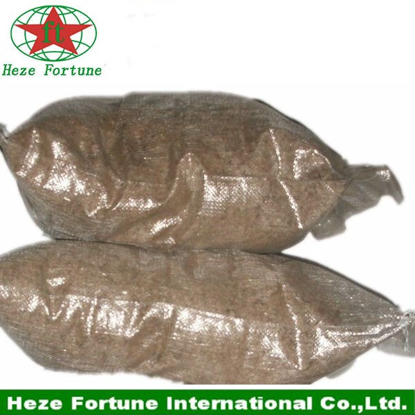 China Wholesale Paulownia 100% pure seeds, 99%survive root cuttings, root stump manufacturer