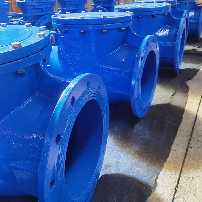 China ANSI Standard DN350 PN10 Resilient Sealing NBR Flansches Schwungtyp -Prüfventil Hersteller