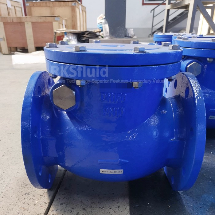 中国 BS5153检查阀API DN300延性铁晶片检查阀秋千pn16污水和废水 制造商