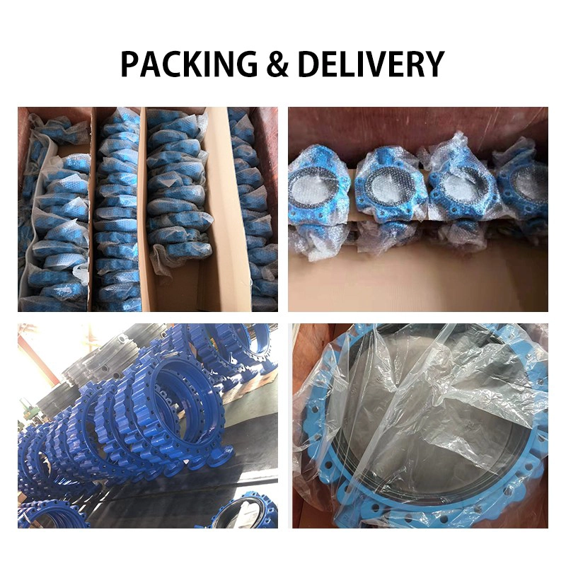 China DN200 PN16 EPDM Irrigation system flange butterfly valve CF8M lug type butterfly valve manufacturer
