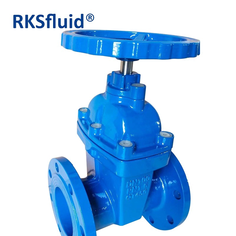 China RKSfluid brand Factory Supplier Ductile iron PN16 DN150 Soft Seal Resilient Seated Flange Type Gate Valve manufacturer