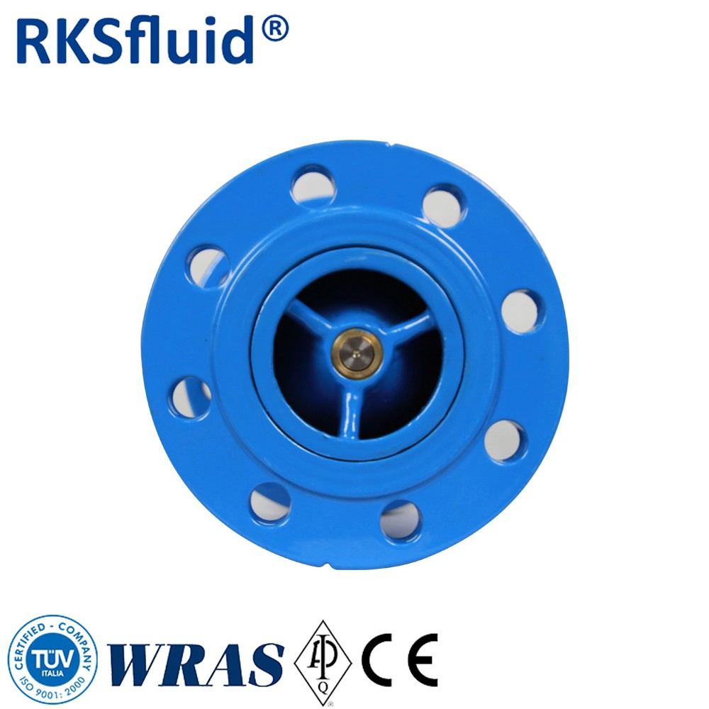 중국 철 엽식 체크 밸브 CF8M 연성 RKSfluid DN50-dn600 제조업체