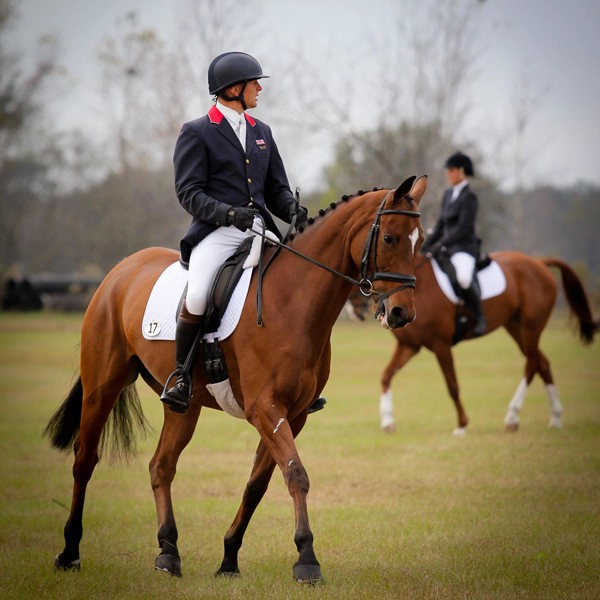 horse helmet manufacturer