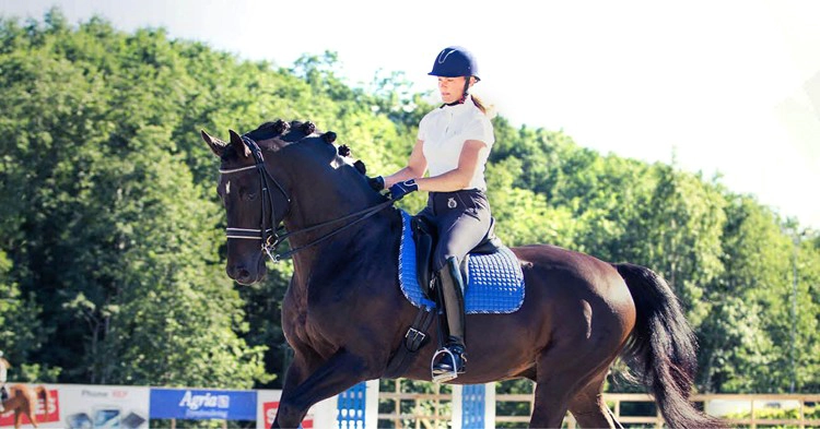 horseback riding helmets