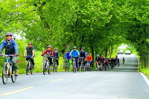 china bike helmet manufacturers