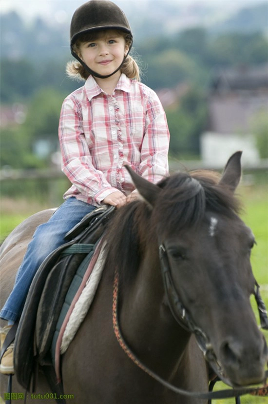 horse manufacturer in China