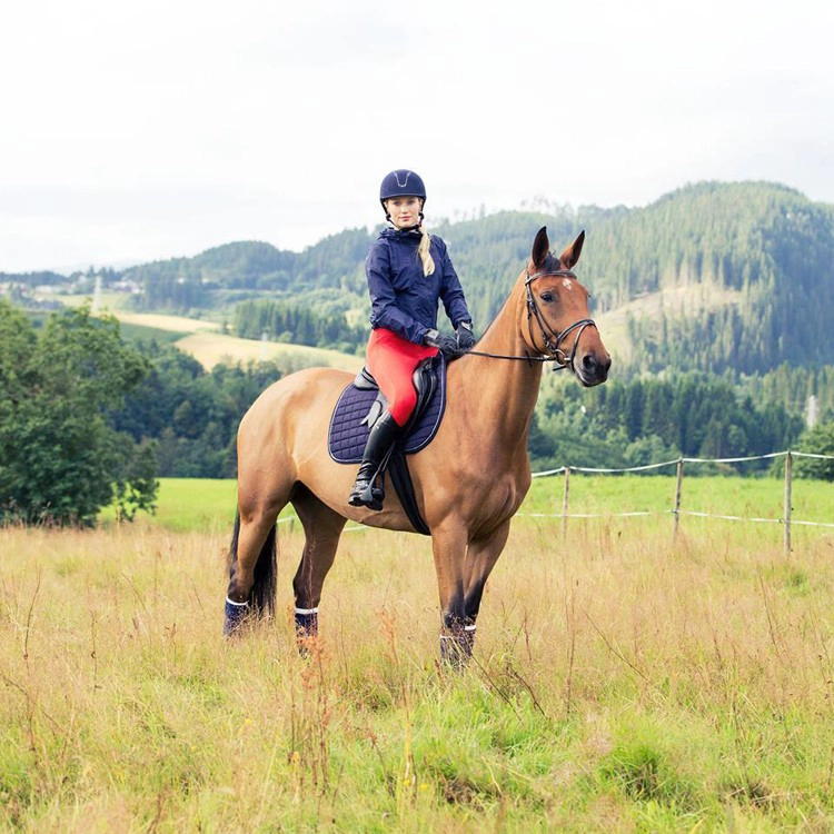 horse racing helmet