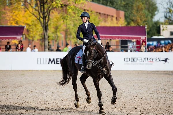 professional horse helmet