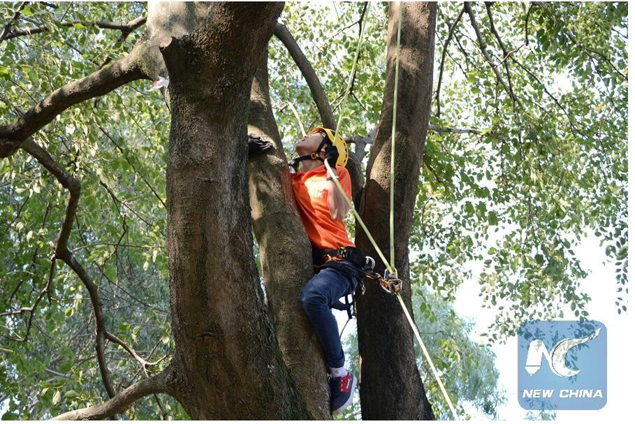 tree climbing helmet
