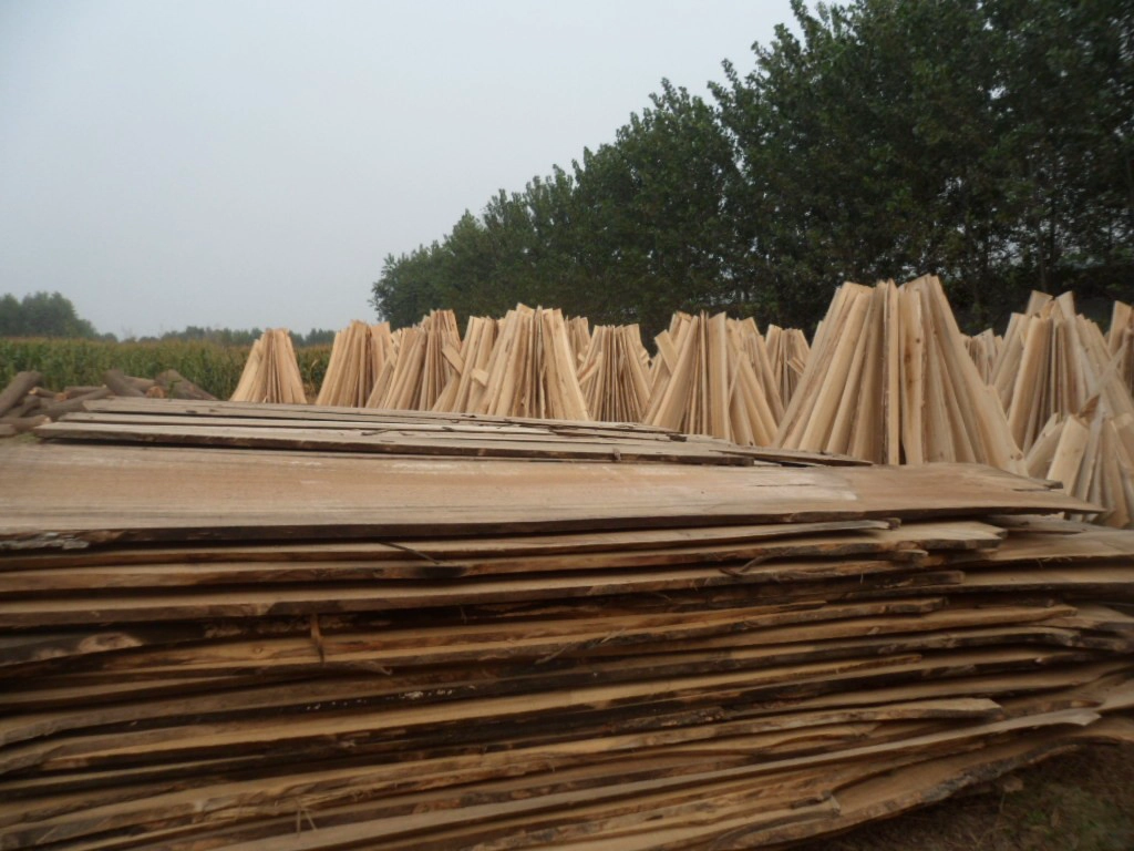 SAM_3817_wps图片.JPG