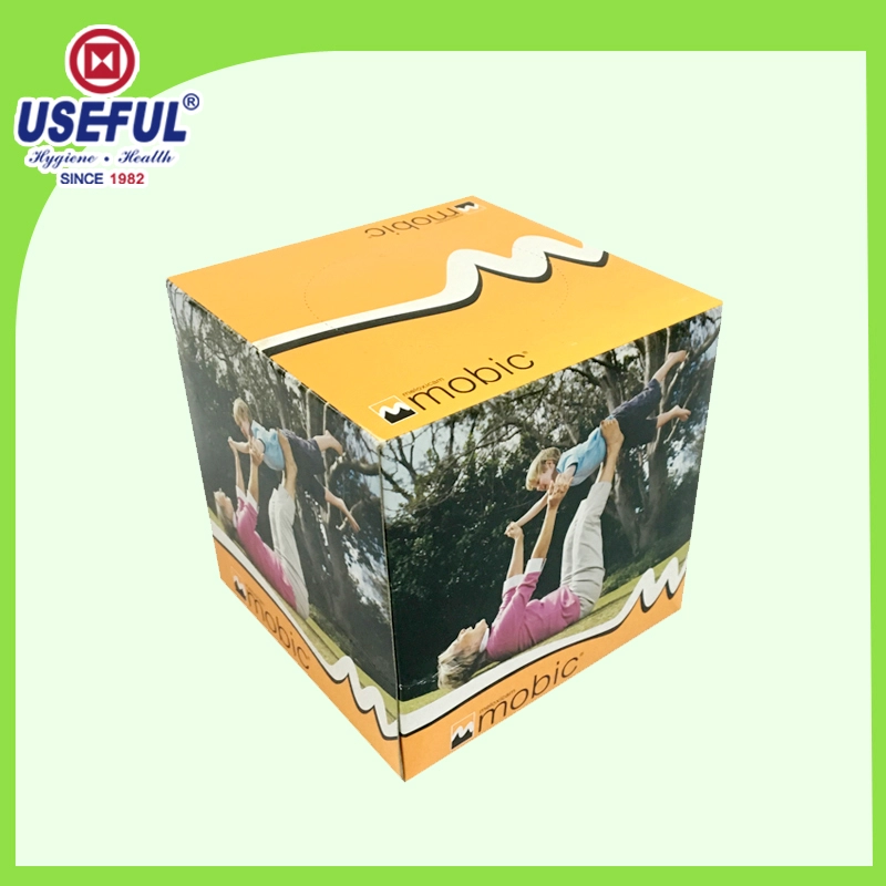 Kleines Würfel Box Tissue für Geschenk