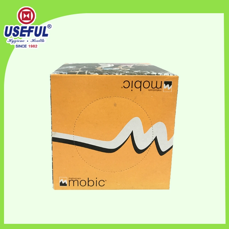 Kleines Würfel Box Tissue für Geschenk
