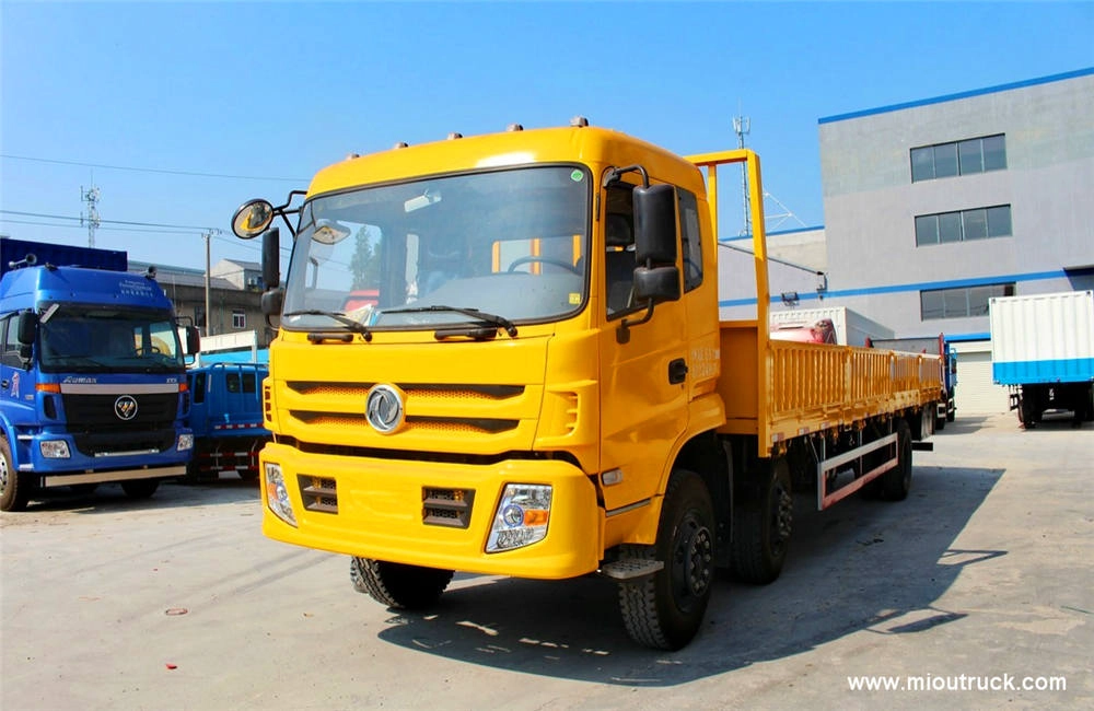 Dongfeng special lorry truck 6x2 210 horsepower 9.6 meters of the Bar-board truck (EQ1253GFJ1)