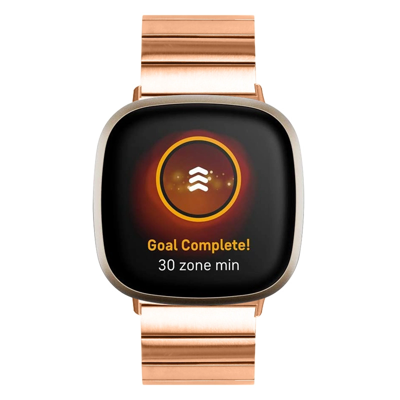 CBFV23 Factory Wholesale Butterfly Buckle in metallo in acciaio in acciaio in acciaio in acciaio cinturino per Fitbit Versa 3 Smartwatch