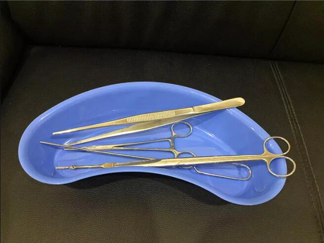 Hot Sell Multicolor Disposable Medical PP Kidney Tray