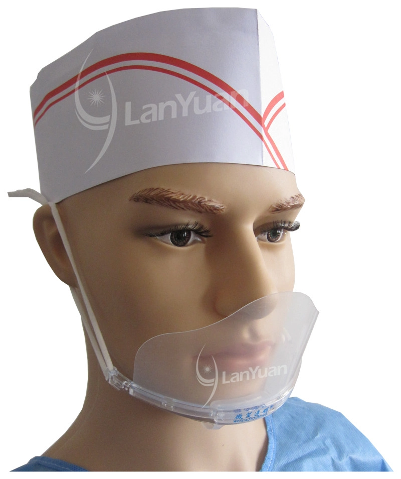 LY-D704 Anti-fog Hygiene Transparent Plastic Mask