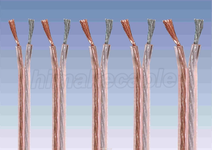 Speaker cable