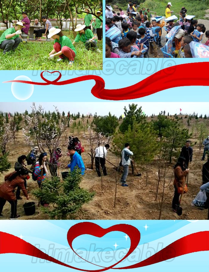 Public activities