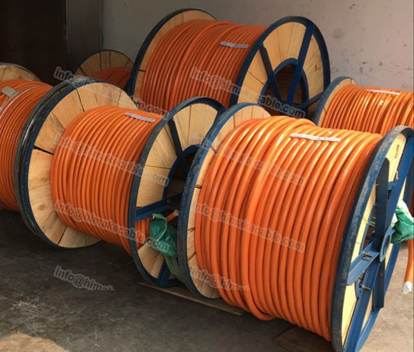 AS / NZS PVC controllo cavo 0.6/1KV