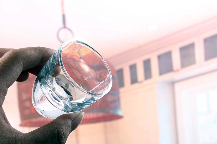 Crystal Martini Glasses