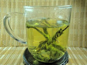 glass cup supplier