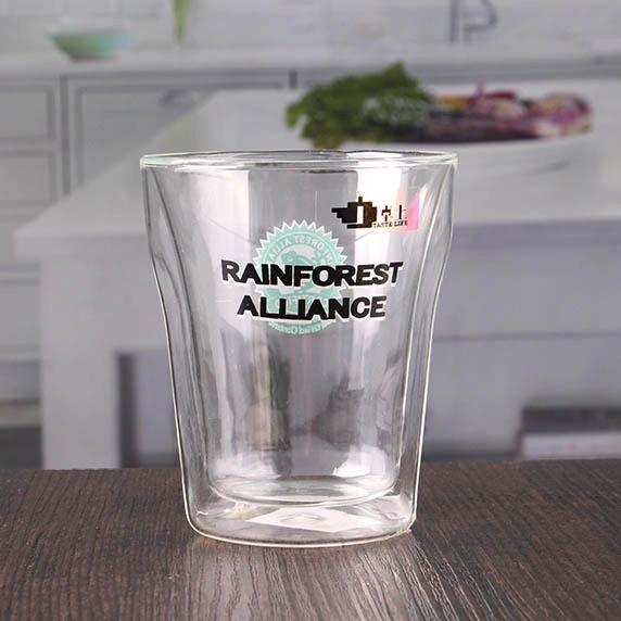 Vente en gros 9 oz produits ménagers double couche de lunettes à double paroi avec logo