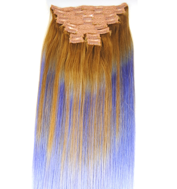 Factory hair wholesale price human hair extension clip in hair two tone color malaysian hair